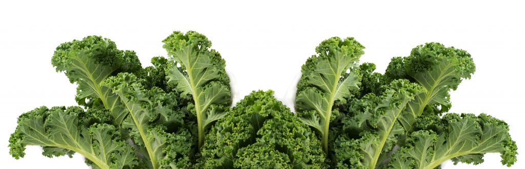 Eating too much kale causes kale poisoning – Villanova College Chemistry  Blog